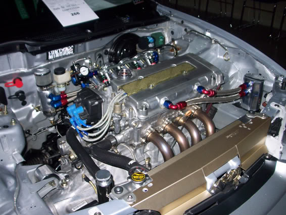 Name:  100_0799.jpg
Views: 14
Size:  76.9 KB