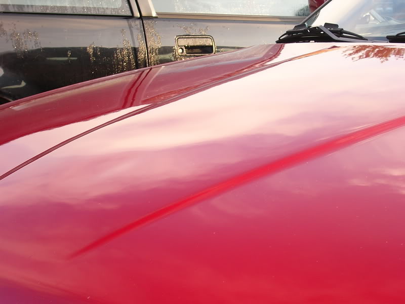 Name:  P1020021.jpg
Views: 9
Size:  50.4 KB