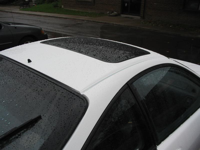 Name: IMG_4894Medium.jpg
Views: 40
Size: 46.9 KB