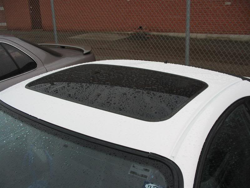 Name: IMG_4885Medium.jpg
Views: 39
Size: 58.8 KB