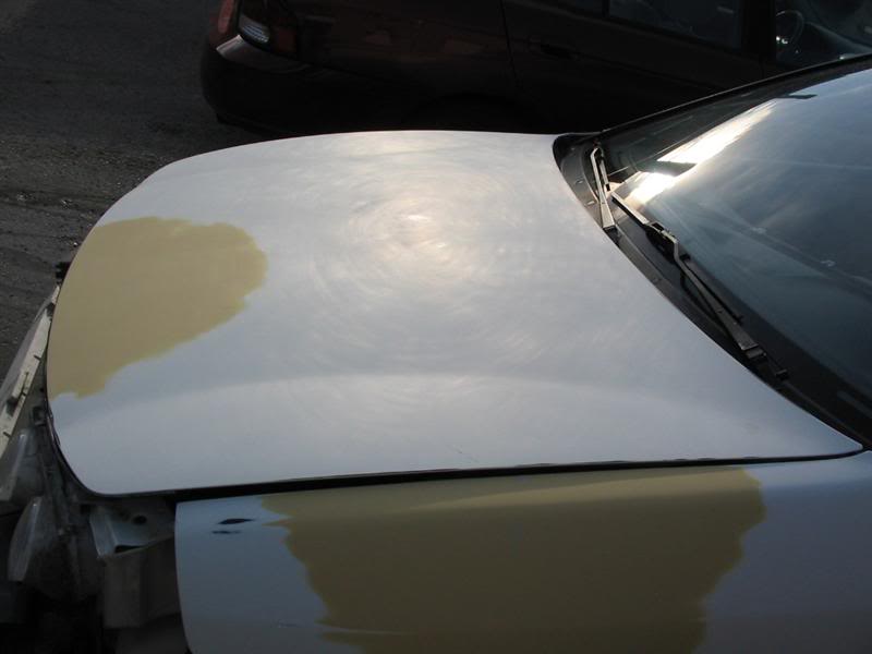 Name: IMG_4128Medium.jpg
Views: 39
Size: 29.8 KB