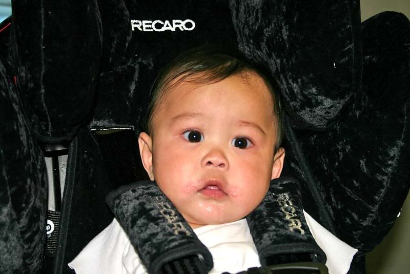 Name:  IMG_0423copy.jpg
Views: 10
Size:  61.6 KB