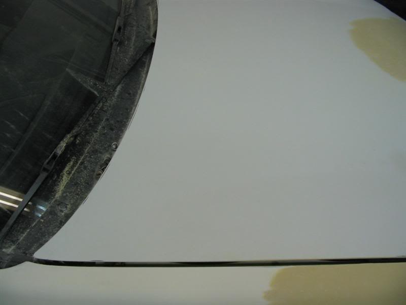 Name: IMG_3377Medium.jpg
Views: 41
Size: 21.3 KB