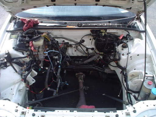 Name:  DSC00325.jpg
Views: 24
Size:  49.8 KB