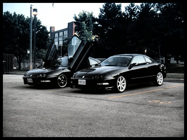 Name:  twintegs4.jpg
Views: 21
Size:  76.8 KB