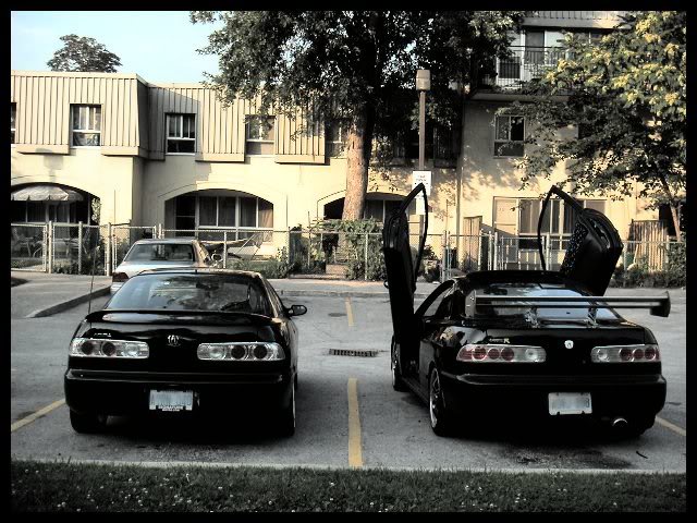 Name:  twintegs2.jpg
Views: 22
Size:  88.0 KB