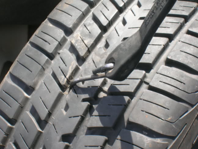 Name:  DSCN0451.jpg
Views: 14
Size:  48.3 KB