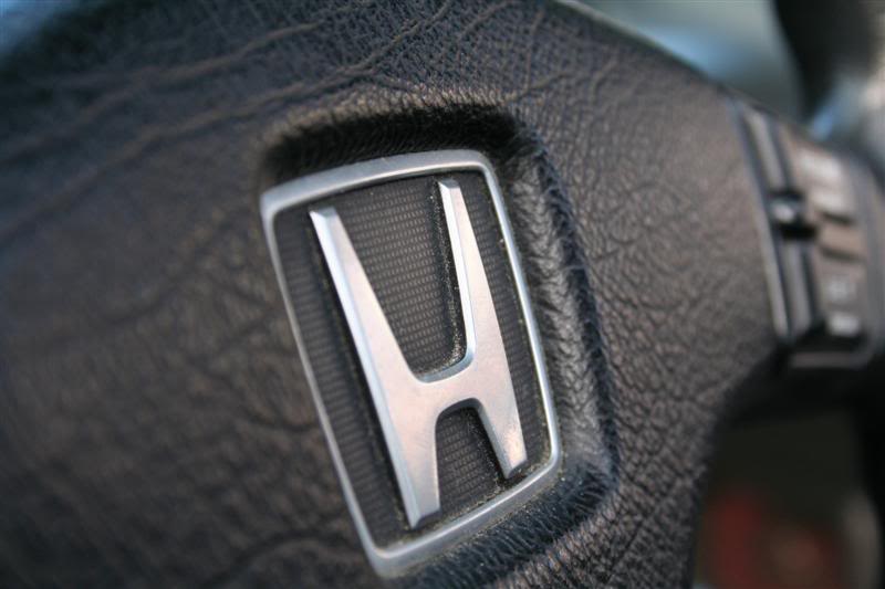 Name:  IMG_0597Medium.jpg
Views: 21
Size:  40.7 KB