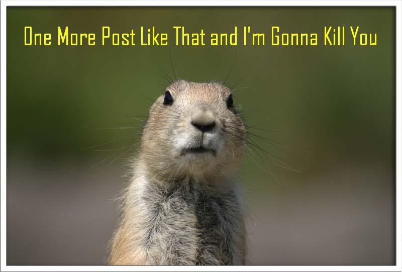 Name:  Squirrel2.jpg
Views: 29
Size:  37.1 KB