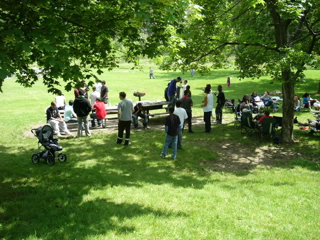 Name:  P1010761.jpg
Views: 15
Size:  120.4 KB