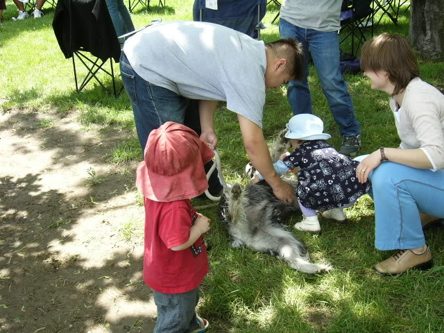 Name:  P1010693.jpg
Views: 15
Size:  110.5 KB