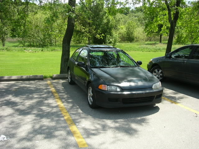 Name:  P1010709.jpg
Views: 15
Size:  103.9 KB