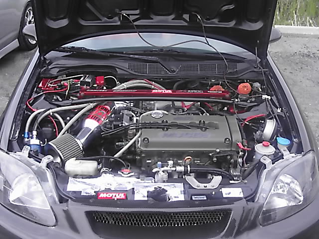 Name:  DCFN0064.jpg
Views: 14
Size:  80.6 KB