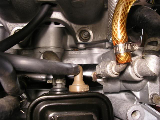 Name: P4150145Small.jpg
Views: 89
Size: 46.3 KB