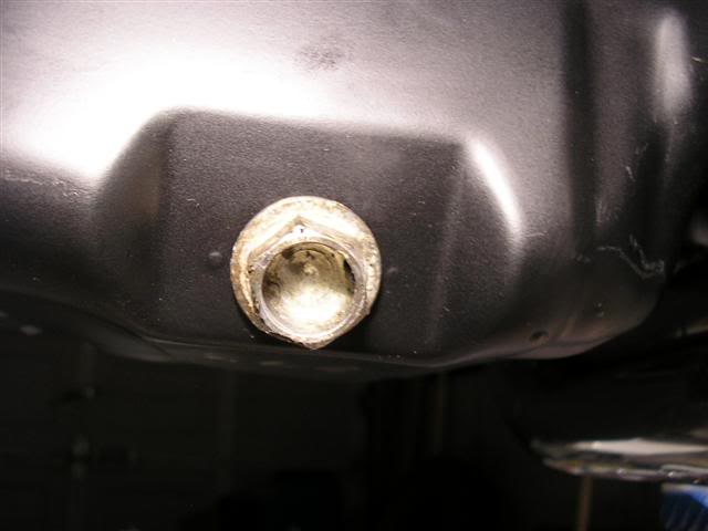 Name: P4150147Small.jpg
Views: 64
Size: 25.6 KB