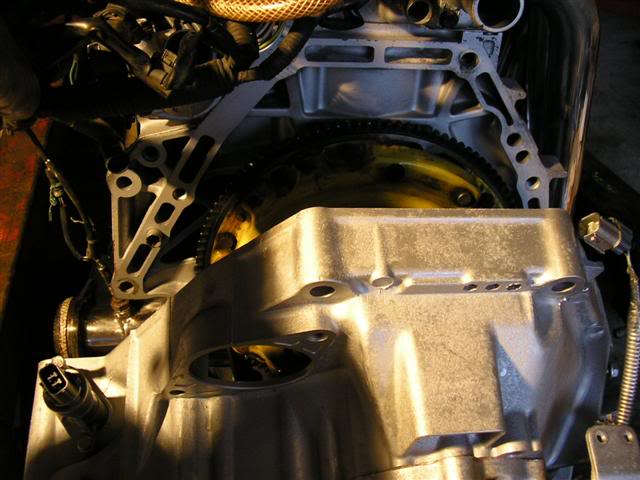 Name: P4160015Small.jpg
Views: 63
Size: 48.2 KB