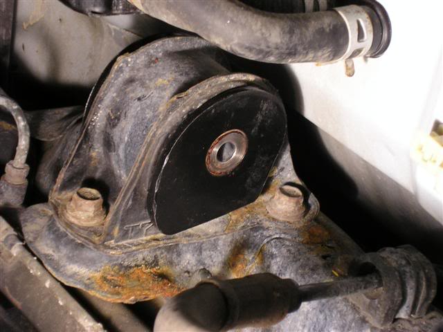 Name: P4160036Small.jpg
Views: 64
Size: 44.5 KB