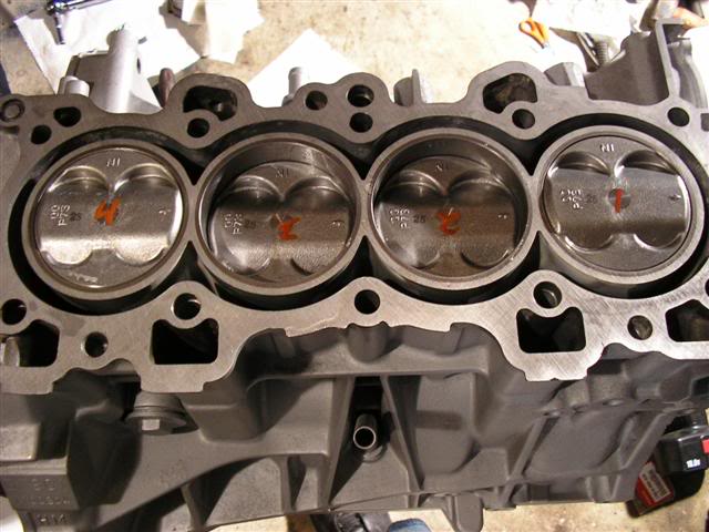 Name: 1010195Small.jpg
Views: 64
Size: 54.4 KB