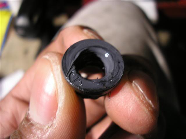 Name: 1010197Small.jpg
Views: 66
Size: 25.4 KB