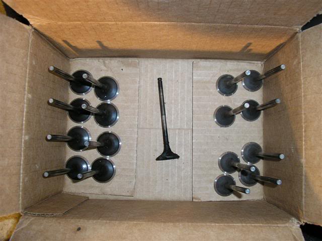 Name: 1010263Small.jpg
Views: 66
Size: 41.9 KB