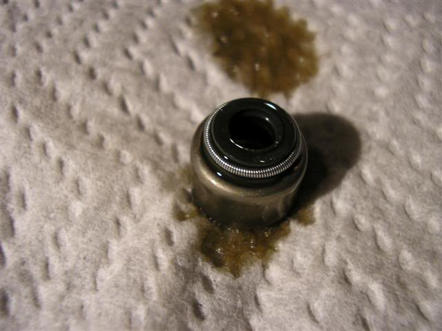 Name: 1010279Small.jpg
Views: 66
Size: 36.2 KB