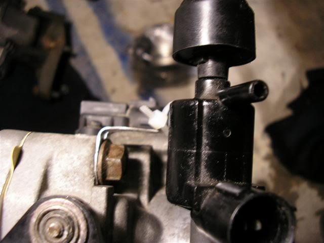 Name: P1010099Small.jpg
Views: 58
Size: 32.4 KB