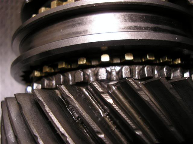 Name: P1010024Small.jpg
Views: 61
Size: 39.2 KB