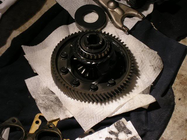 Name: P1010012Small.jpg
Views: 66
Size: 46.2 KB