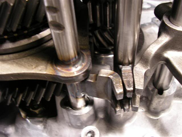 Name: P1010038Small.jpg
Views: 64
Size: 38.2 KB