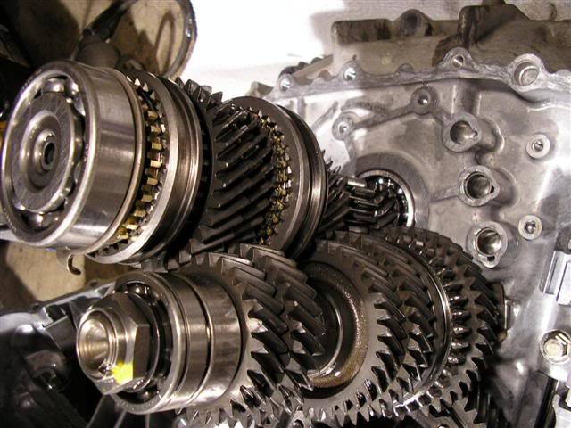 Name: P1010033Small.jpg
Views: 65
Size: 60.9 KB