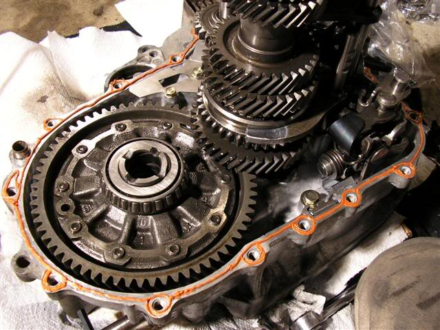 Name: P1010063Small.jpg
Views: 66
Size: 70.3 KB