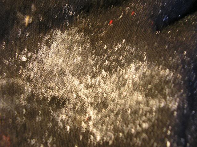 Name: 1010139Small.jpg
Views: 73
Size: 65.7 KB