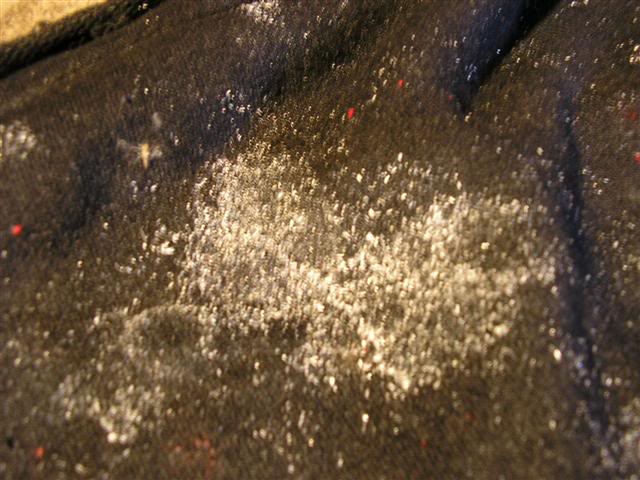 Name: 1010137Small.jpg
Views: 77
Size: 57.1 KB