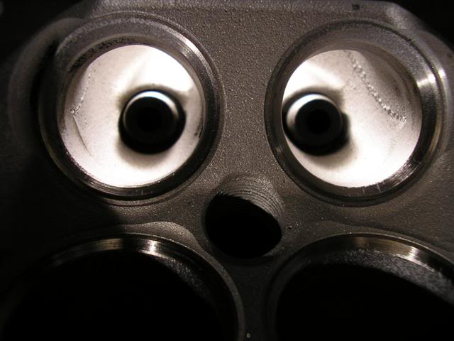 Name: P1010464Small.jpg
Views: 74
Size: 35.9 KB