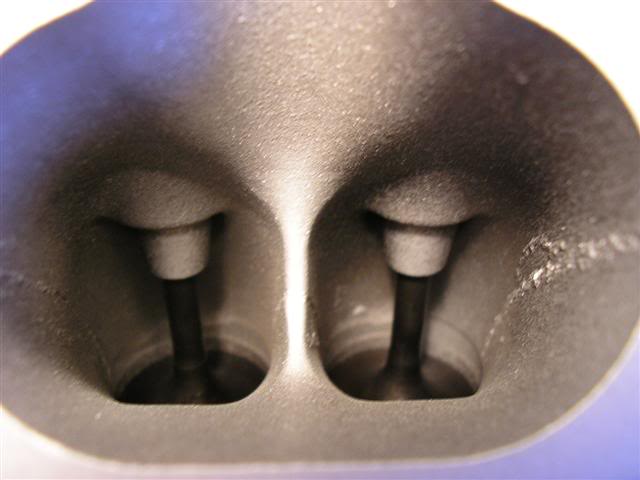 Name: P1010459Small.jpg
Views: 71
Size: 29.2 KB