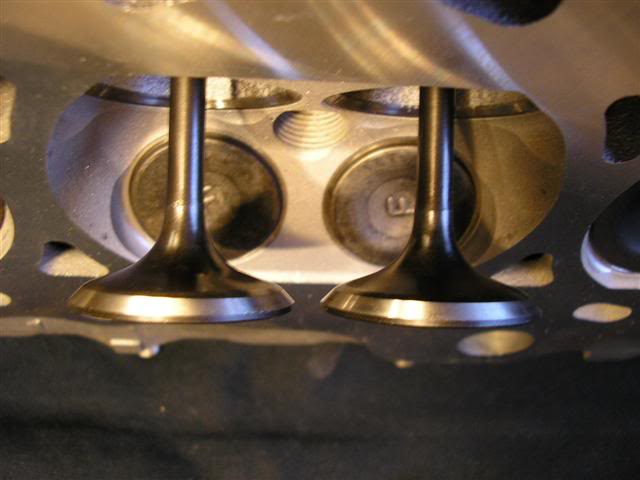 Name: P1010455Small.jpg
Views: 70
Size: 31.5 KB