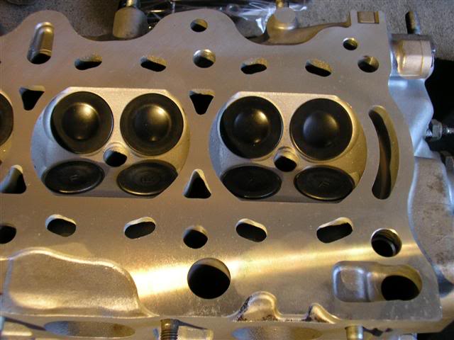 Name: P1010427Small.jpg
Views: 67
Size: 43.7 KB