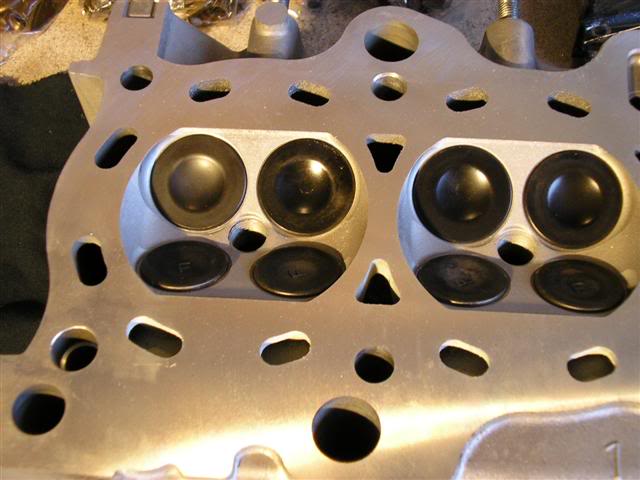 Name: P1010426Small.jpg
Views: 70
Size: 41.7 KB