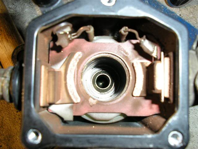 Name: P1010633Small.jpg
Views: 68
Size: 44.0 KB