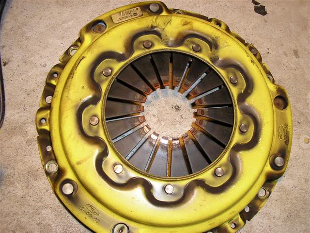 Name: P1010301Small.jpg
Views: 74
Size: 61.4 KB