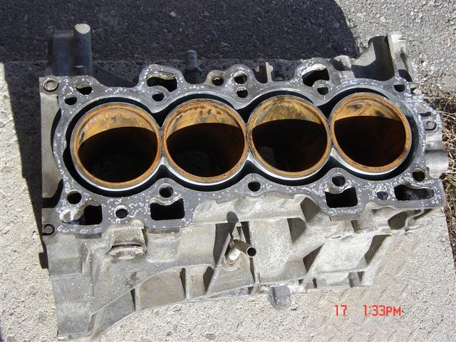 Name: DSC00980Small.jpg
Views: 76
Size: 74.7 KB