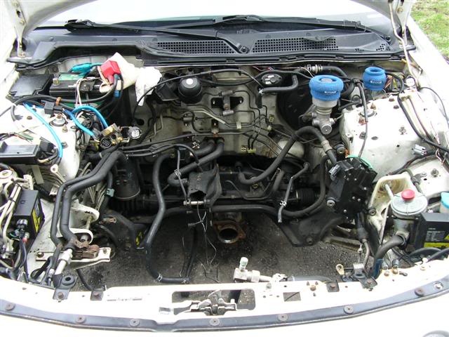 Name: 1010016Small.jpg
Views: 70
Size: 67.2 KB