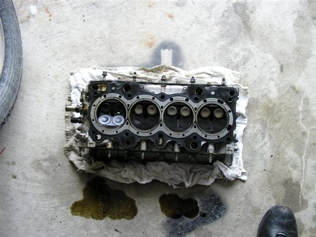 Name: P1010246Small.jpg
Views: 71
Size: 51.2 KB