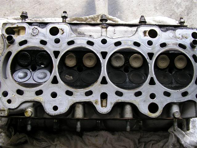 Name: P1010265Small.jpg
Views: 80
Size: 58.7 KB