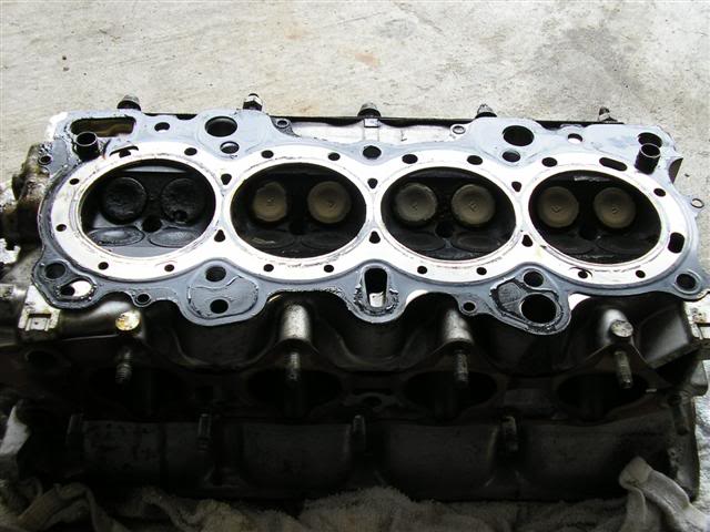 Name: P1010248Small.jpg
Views: 69
Size: 50.9 KB