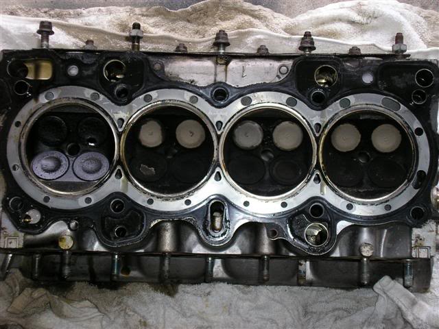 Name: P1010247Small.jpg
Views: 79
Size: 60.0 KB