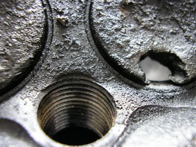 Name: P1010267Small.jpg
Views: 75
Size: 72.3 KB