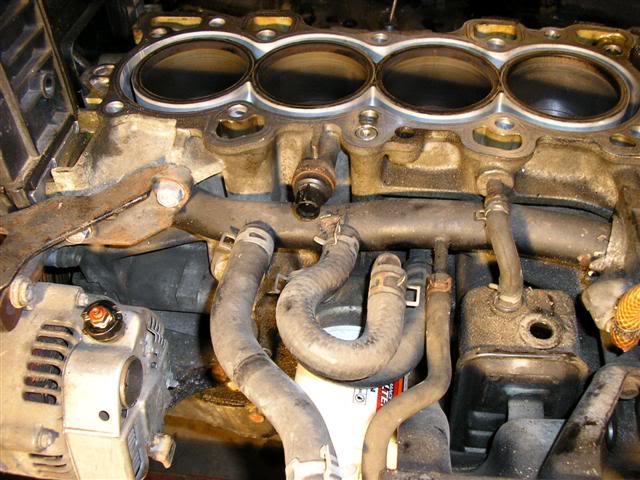 Name: P1010344Small.jpg
Views: 74
Size: 63.3 KB