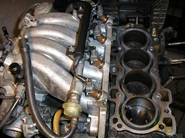 Name: P1010292Small.jpg
Views: 57
Size: 59.8 KB