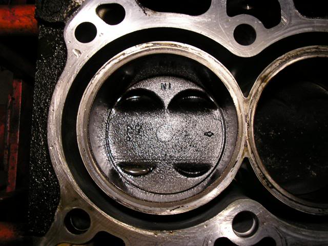 Name: P1010271Small.jpg
Views: 72
Size: 58.3 KB